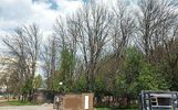В Ярославле высыхает Юбилейный парк