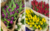 Букеты по гороскопу и цветы для скряг: флорист из Ярославля дала советы на 8 марта
