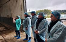 В Ярославском районе при поддержке Россельхозбанка открылся новый животноводческий комплекс
