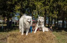 В деревне Будихино пройдет фестиваль «Пастушьи забавы»
