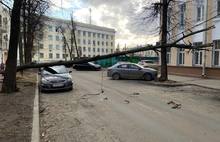 Упавшее дерево перекрыло улицу Флотская в Ярославле