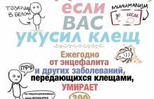 В Ярославской области укушено клещами на 60% больше людей, чем в прошлом году