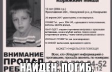 Волонтеры считают, что пропавшего в Ярославской области мальчика можно было спасти