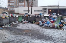 Жителей Ярославля завалило мусором