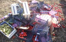 С начала  года в Ярославской области уничтожено более 2 тонн санкционных овощей и фруктов