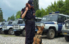 В Ярославле служебная собака Кристи помогла разыскать грабителя 