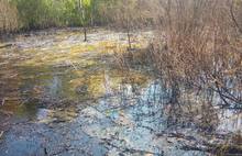 По факту загрязнения нефтепродуктами водоема в Красноперекопском районе возбуждено уголовное дело