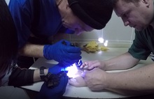В Ярославле спасатели помогли врачам снять кольцо с пальца 15-летней девушки