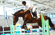 В Ярославле стартовал чемпионат области по конному спорту. Фоторепортаж