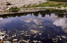 Пробы в реке не взяли: фильтрат с мусорного полигона «Хартии» в Угличском районе снова попал в Улейму