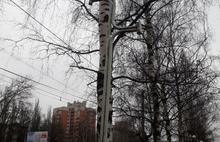 «Благоустроили и забыли»: в Ярославле пришел в запустение бульвар на проспекте Дзержинского