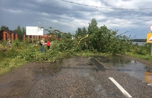 Поселок Красный Профинтерн под Ярославлем оказался в эпицентре урагана