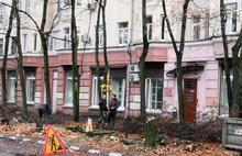 В Ярославле для организации парковки вырубили клены