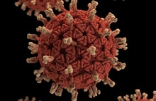В декабре от коронавируса умерло уже 14 ярославцев