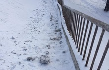 Бывший мэр Ярославля требует от мэрии почистить Заволжский район от снега
