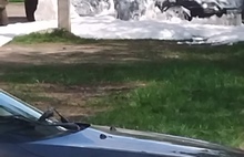 В Ярославле сгорел автомобиль – видео