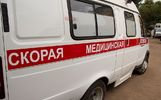 В Ярославской области мальчик попал в больницу после нападения собаки