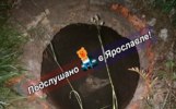 В Ярославле собака провалилась в открытый люк