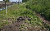 В Яроблводоканале призвали не смывать в унитаз памперсы и салфетки