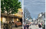 На кинематографической улице в Ярославле ждут посадки кленов